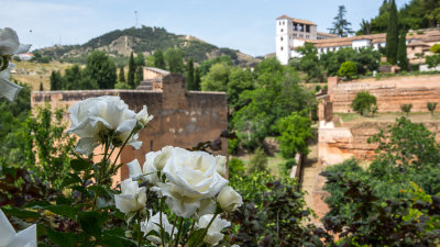 Alhambra-Granada 2021 - 0950-w.jpg