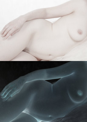 composite_8404.jpg