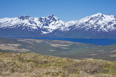 IMGP8160.jpg