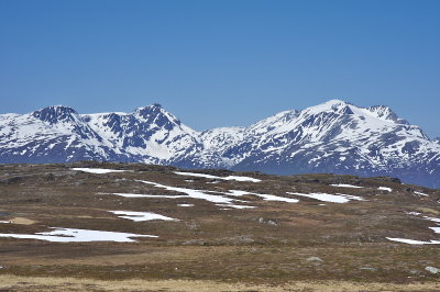 IMGP8170.jpg