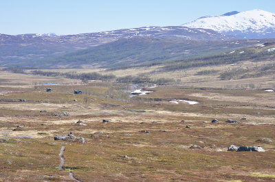 IMGP8194.jpg