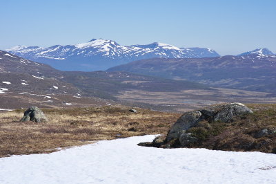 IMGP8198.jpg