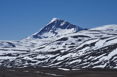IMGP8201.jpg