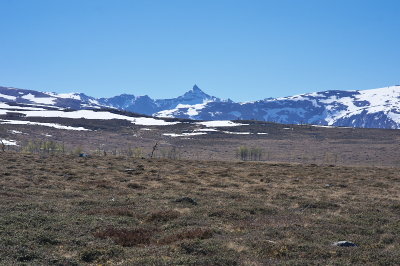 IMGP8203.jpg
