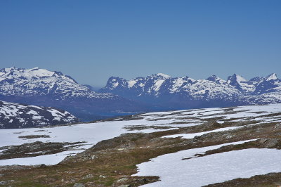 IMGP8247.jpg