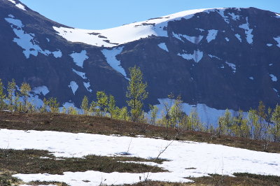 IMGP8255.jpg
