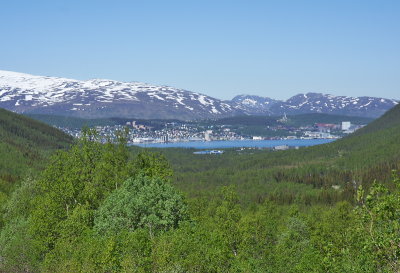 IMGP8259.jpg
