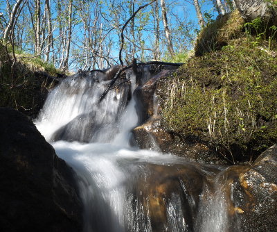 R0000459.jpg