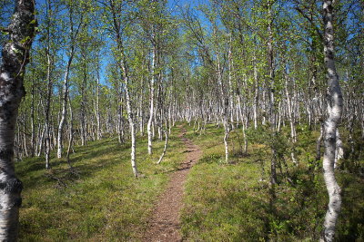 R0000466.jpg