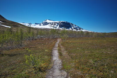 R0000468.jpg