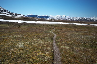 R0000490.jpg