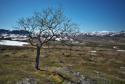 R0000494.jpg