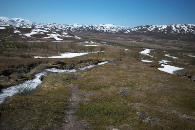 R0000495.jpg