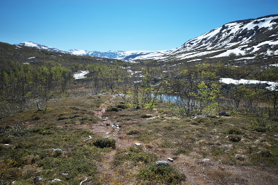 R0000549.jpg