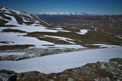 R0000558.jpg