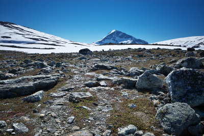 R0000560.jpg