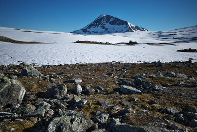 R0000595.jpg