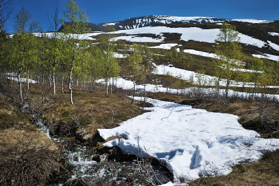 R0000622.jpg