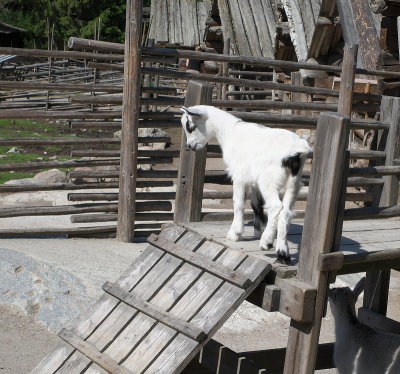 R0000300.jpg