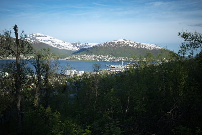 R0000444.jpg