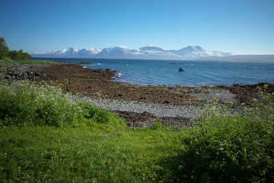 R0000642.jpg