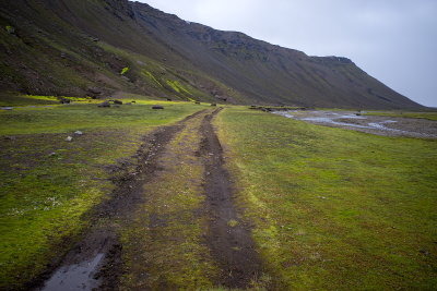 R0001548.jpg