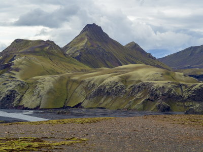P8130479.jpg