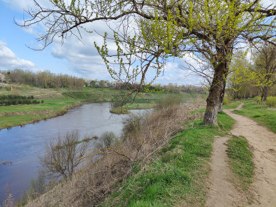 g12/66/36466/3/171782302.sT7WaTu9.jpg