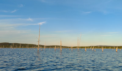 IMG_20210727_204252.jpg
