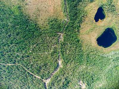DJI_0141.jpg