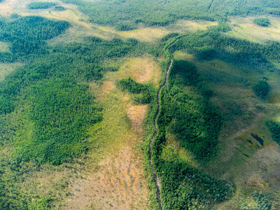 DJI_0142.jpg
