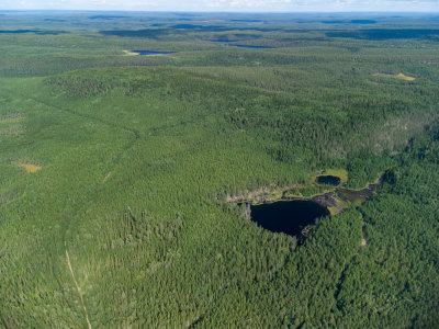 DJI_0146.jpg
