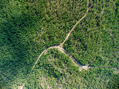 DJI_0148.jpg