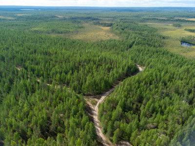 DJI_0150.jpg
