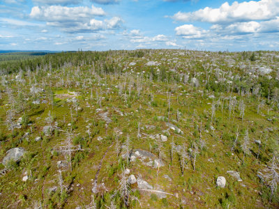 DJI_0156.jpg