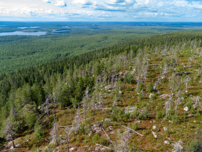 DJI_0157.jpg