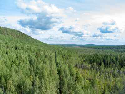 DJI_0164.jpg