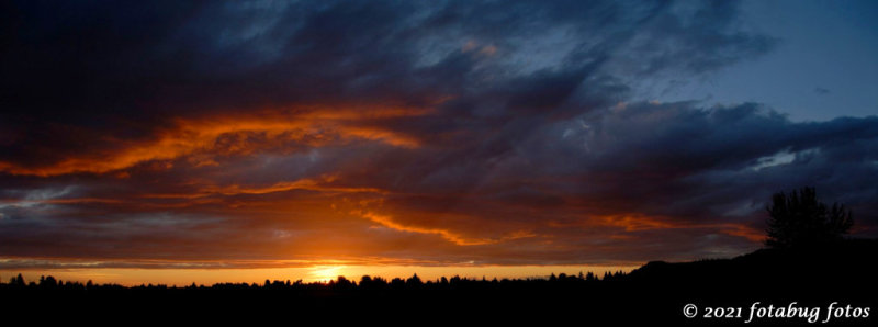 Sunset in the Willamette Valley