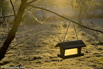 On a Frosty Morning