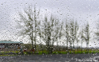 WHAT DO YOU DO ON A RAINY DAY?