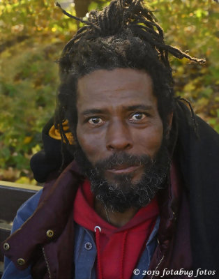 (King) David