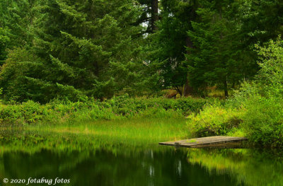 Pond and Boat Ramp
