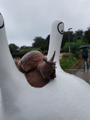 Snailspace Brighton 2018