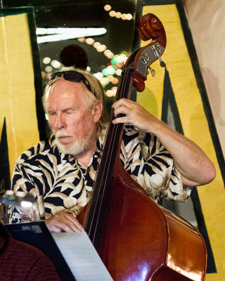0235 Bassist