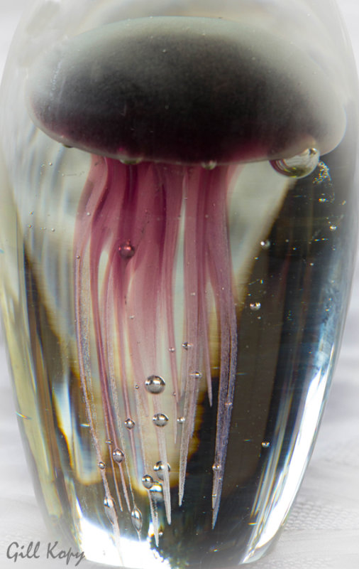 Glass Jellyfish
