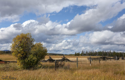 Cariboo_Country