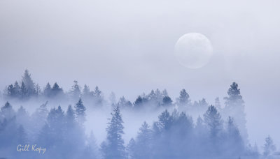 Morning Fog  and moon