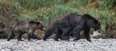 Trip to Bella Coola