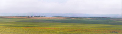 Prairie
