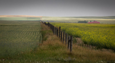 Prairie9